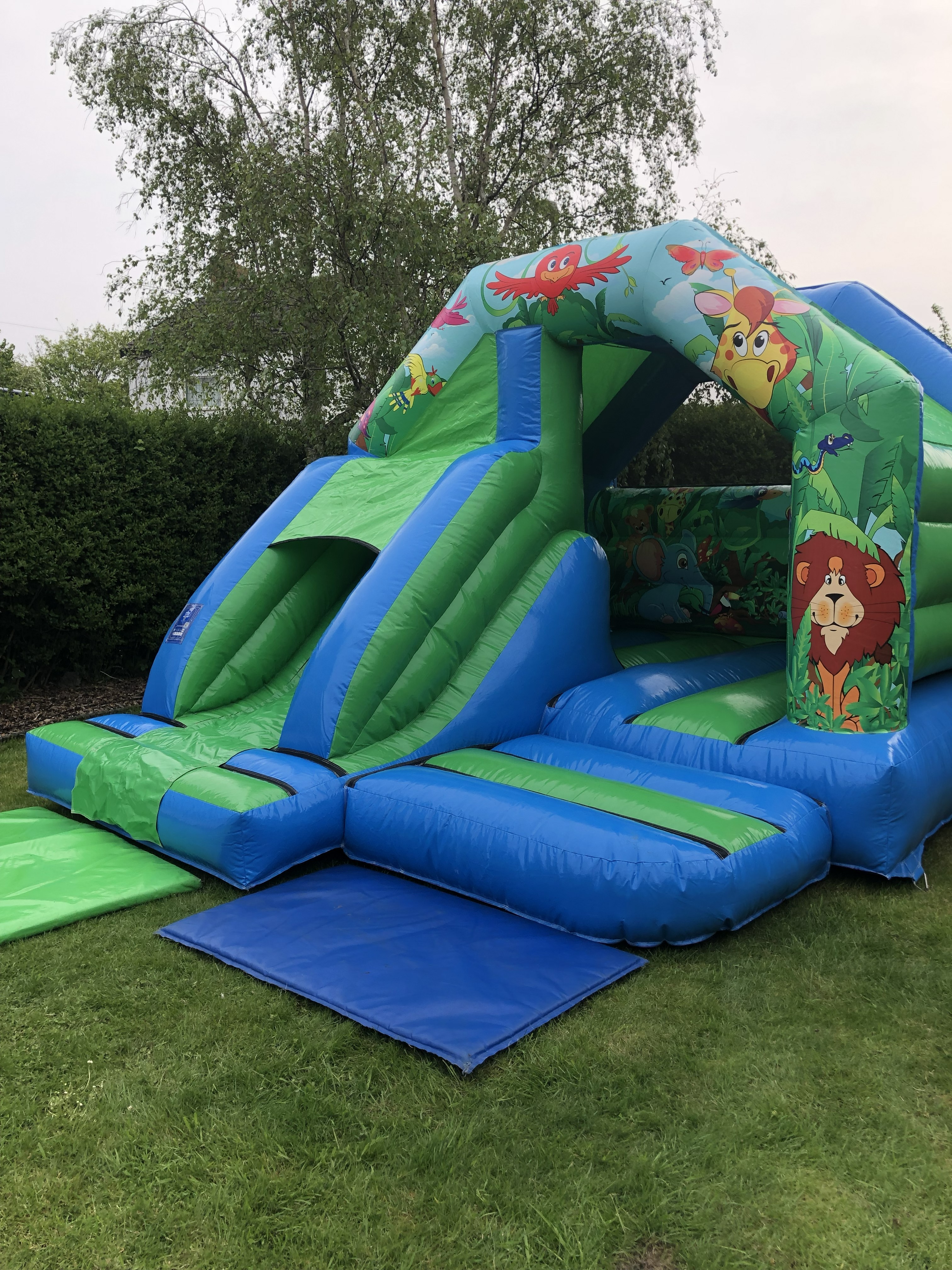 Jungle-themed bouncy castle with slide for hire in Freckleton