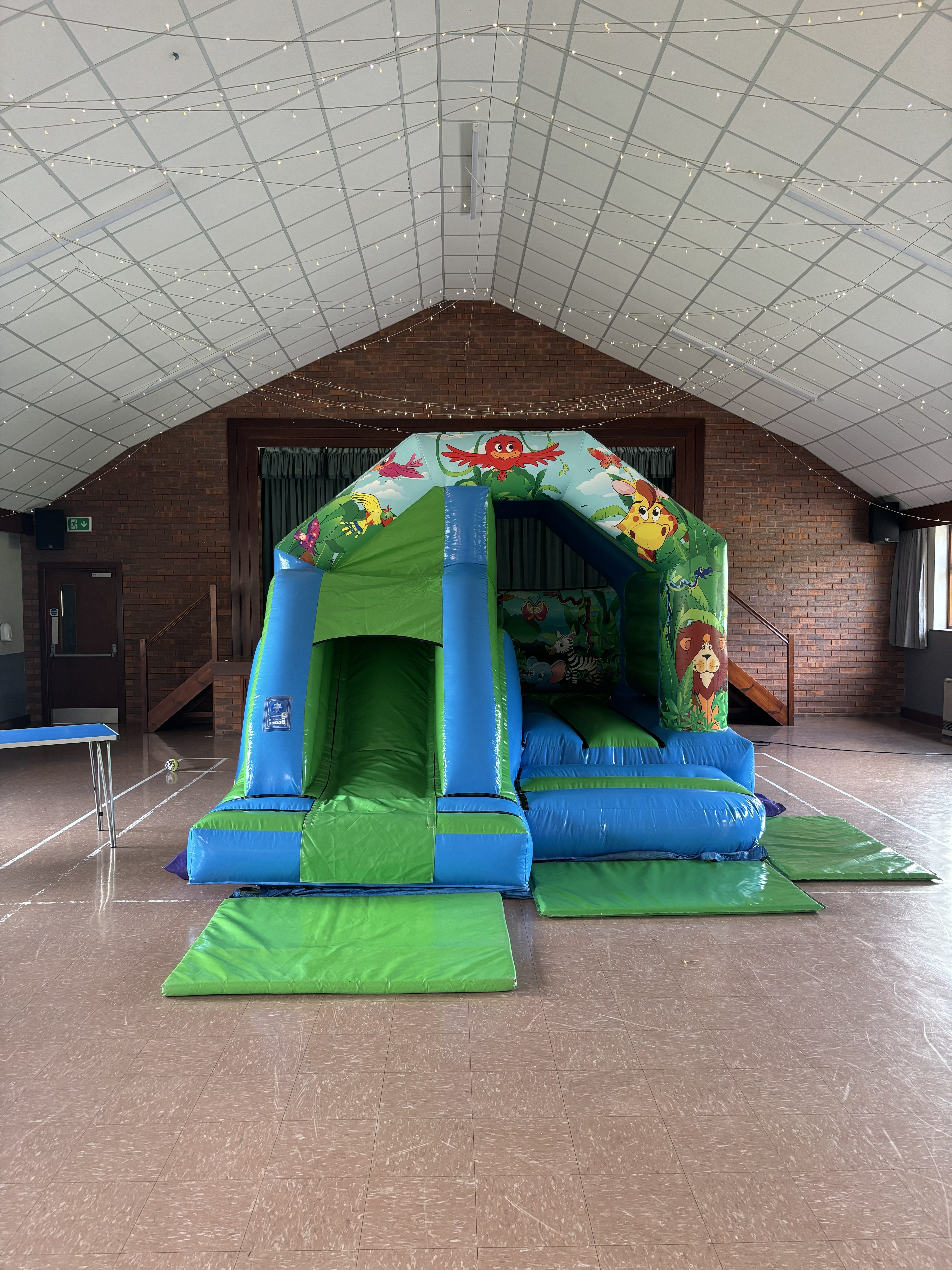 jungle-slide-bouncy-castle-staining-village-hall.jpg